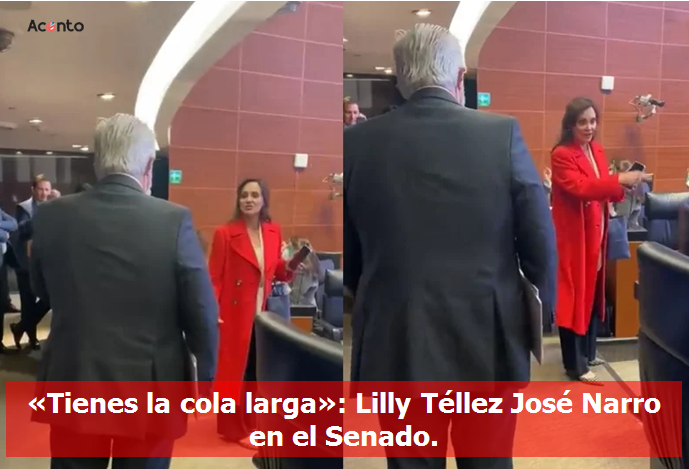 Sube de tono la confrontación: Lilly Téllez, llama “brazo del crimen organizado” a Senador Narro, en su cara.