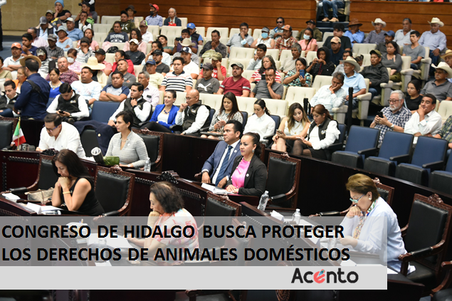 Congreso de Hidalgo busca proteger y salvaguardar los derechos de animales domésticos