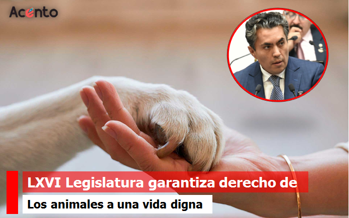 LXVI Legislatura garantiza derecho de los animales a una vida digna