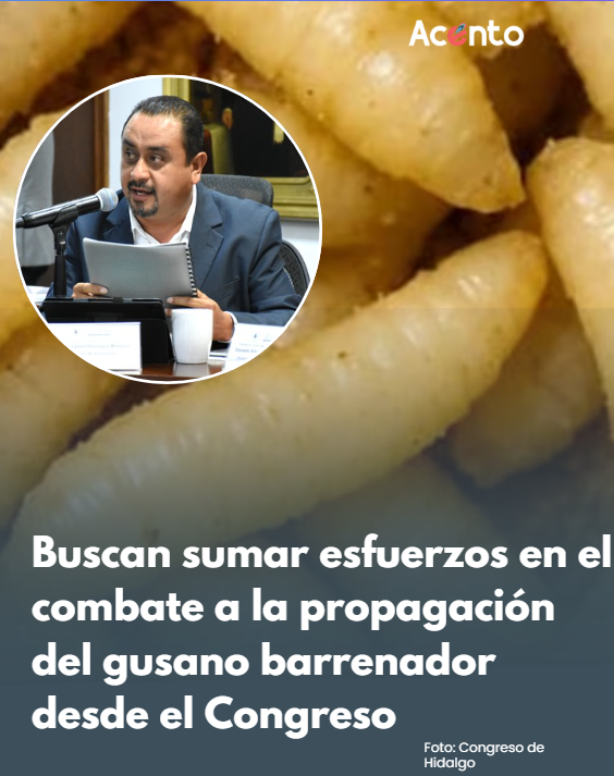 Buscan sumar esfuerzos en el combate a la propagación del gusano barrenador