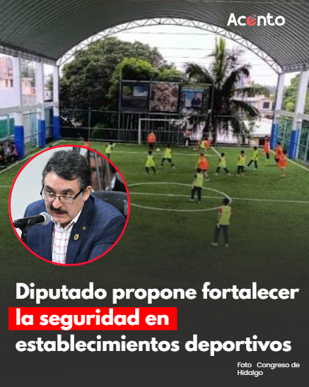 Diputado propone fortalecer la seguridad en establecimientos deportivos 