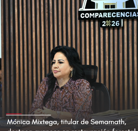 En comparecencia, Mónica Mixtega, titular de Semarnath, destaca avances en restauración forestal y protección ambiental